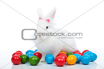 Cute white easter bunnz among colorful eggs