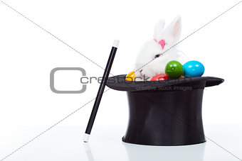Cute white rabbit with colorful easter eggs in magician hat