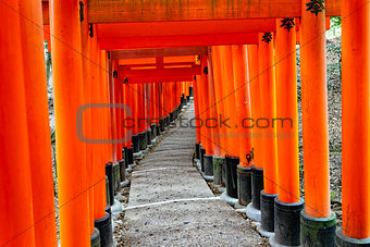 Fushimi Inari Taisha Shrine in Kyoto