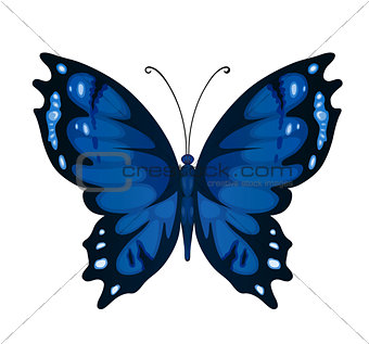 Blue vector butterfly