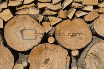 Pile of log wood