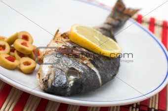 grilled fish