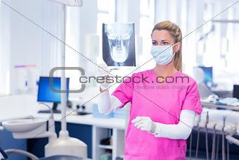 Dentist in surgical mask looking an x-ray