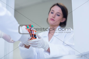 Biologist giving blood sample to his colleague