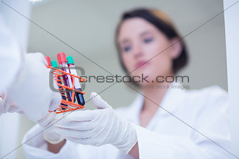 Biologist giving blood sample to his colleague