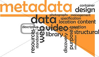 word cloud - metadata