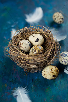 quail eggs in a nest  