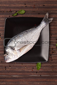 Fresh sea bream on plate, top view.