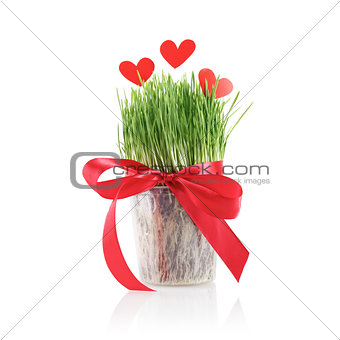 Green grass and red paper hearts