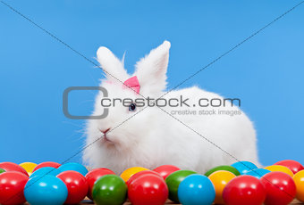Fluffy white rabbit with pink bow guarding colorful eggs