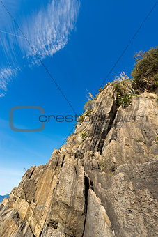 Cliff in Riomaggiore Liguria Italy