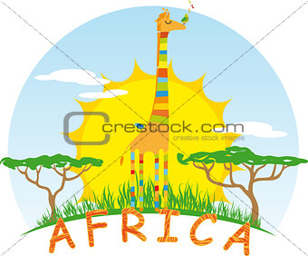 Sunny Giraffe on Background of the African Sun