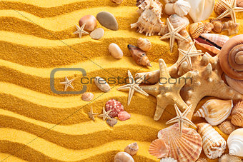 Yellow sand and seashells background.