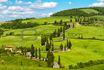 Tuscany road with cypress trees, Val d'Orcia, Italy