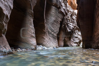 the Narrows in Zion NP
