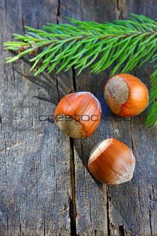 Hazelnuts isolated on a table wood  