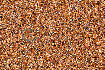 kaniwa grain background