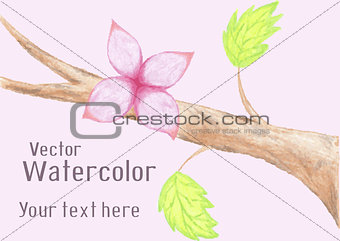 Gentle watercolor flower on branch