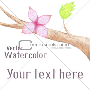 Vector hand-drawn background with watercolor flower on branch