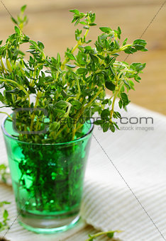 bunch of fresh green thyme in a glass