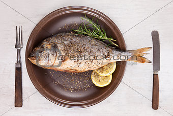 Grilled fish on plate, top view.