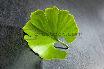 Ginkgo leaf.