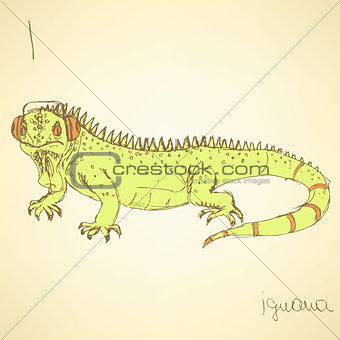Sketch fancy iguana in vintage style