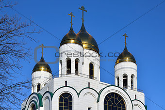 Domes of Cathedral of Christ the Saviour. Kaliningrad, Russia