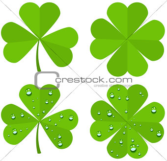 Set clover leaves isolated on white background
