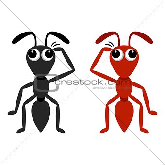 Black and red ant
