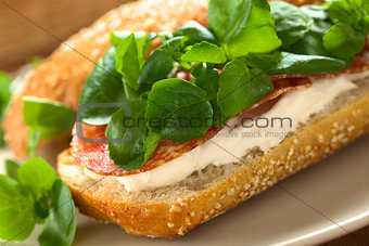 Watercress, Salami and Cream Cheese on Bread