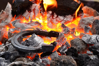 Horseshoe in the coals and flames