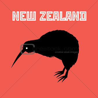kiwi bird symbol of New Zealand
