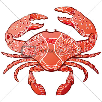 Decorative isolated crab