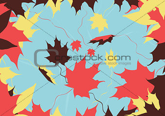 autumn leaves colors