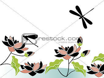 dragonflies and flowers
