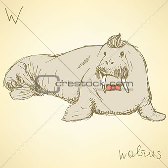 Sketch fancy walrus in vintage style