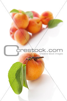 Apricots isolated on white. 