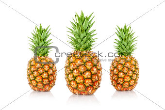 Pineapples with a white background.