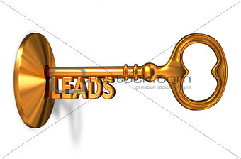 Leads - Golden Key is Inserted into the Keyhole.