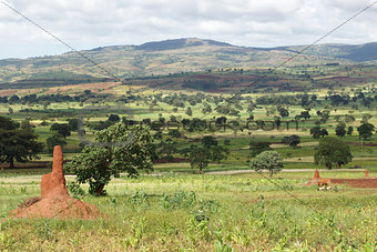 Sidama, Ethiopia, Africa