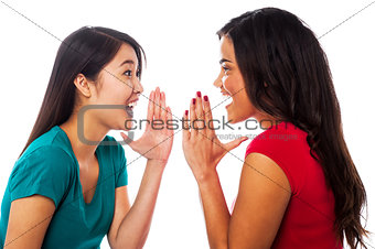 Two girls sharing their secrets