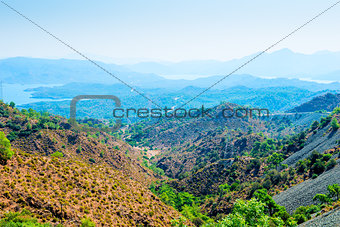 panorama of the beautiful valley with coniferous forests
