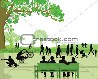 People in the park area
