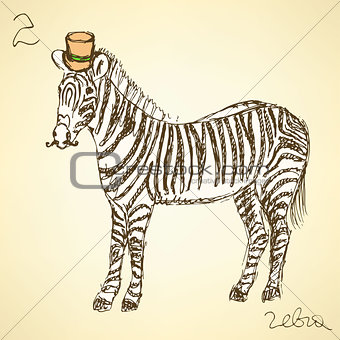 Sketch fancy zebra in vintage style