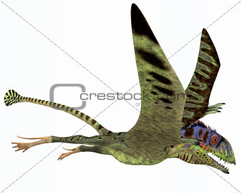 Peteinosaurus Dinosaur