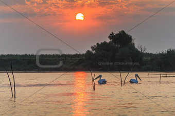 sunrise in the Danube Delta, Romania