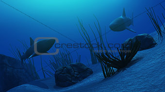 3D Underwater scene with sharks