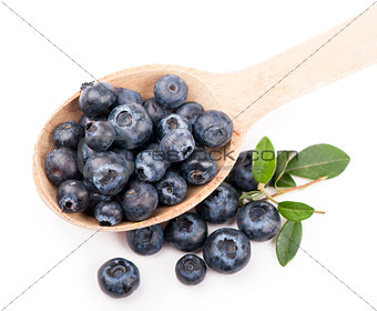 blueberries,. Isolated white