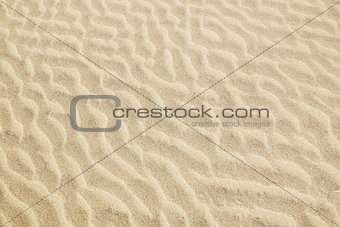 The texture of the sand dunes.